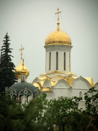 Димитровград